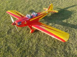 Modelle unserer Mitglieder